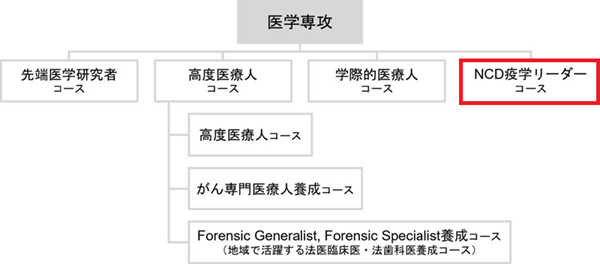 curriculum