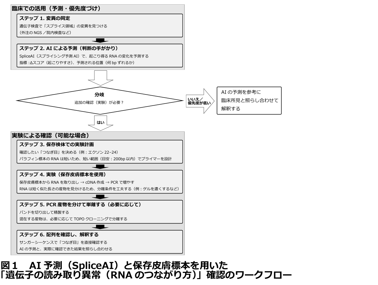 図１