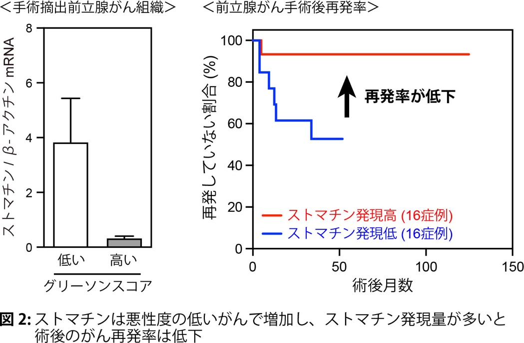 図2