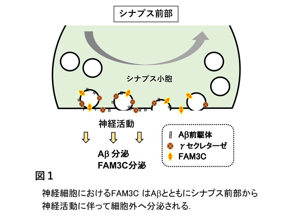 図１