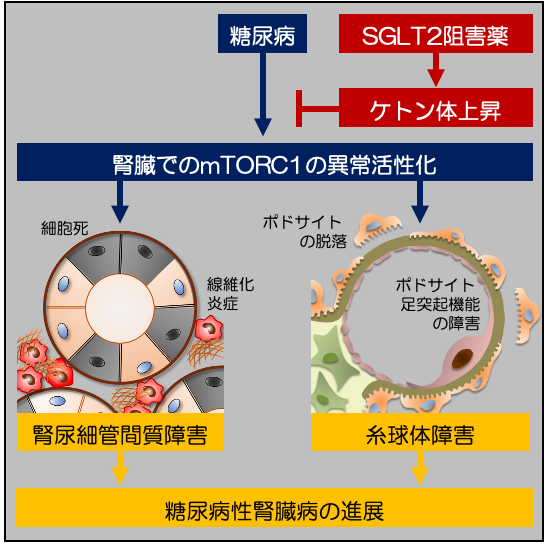 図4