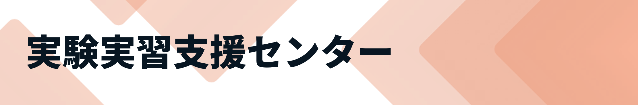 実験実習