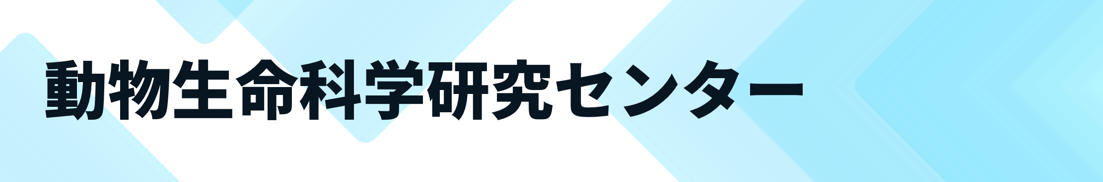 動物センター