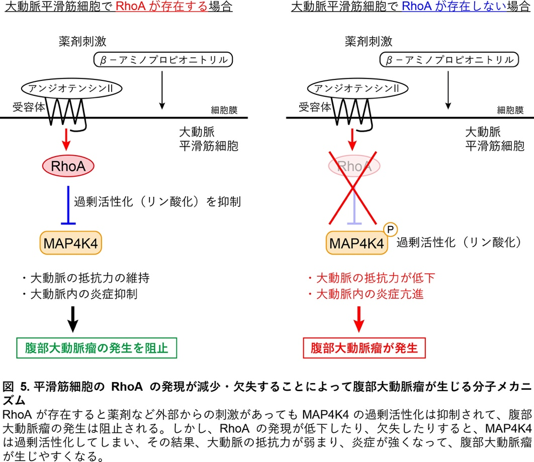 図5