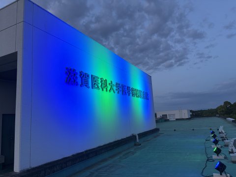 ライトアップの様子