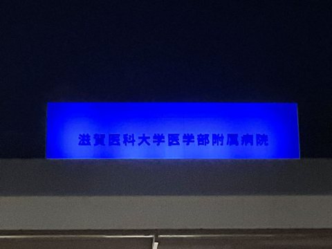 ライトアップの風景1