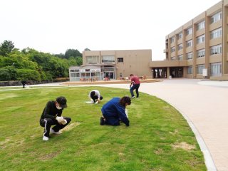 1.中庭での除草