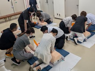 モデルを使ったトレーニング