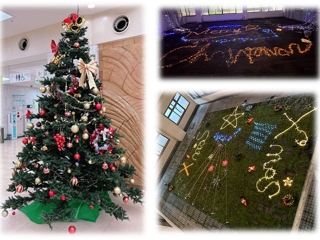 クリスマスツリーとイルミネーション
