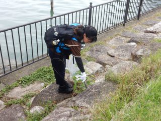 琵琶湖博物館近くのごみ拾い